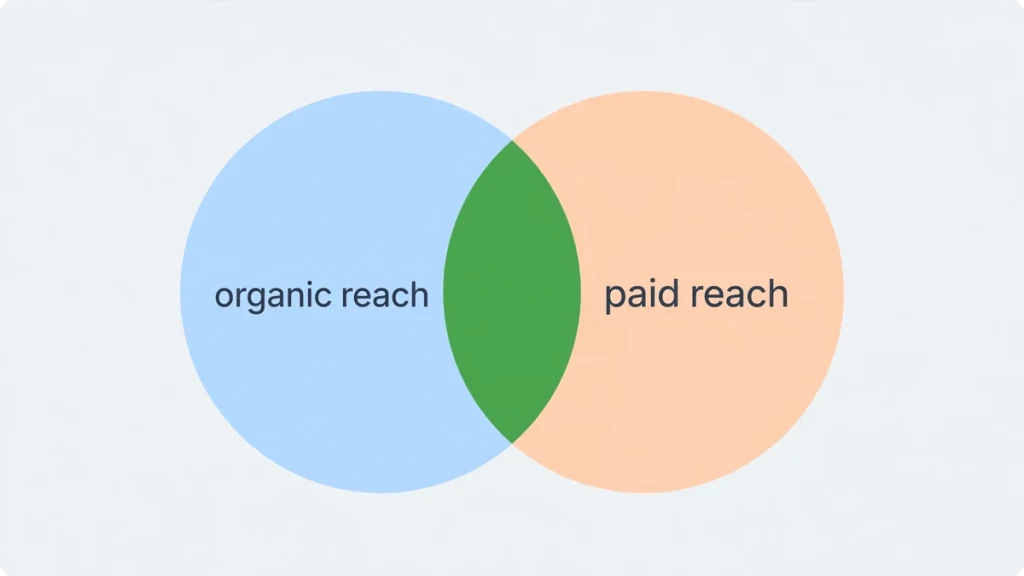 The hybrid play — how most small businesses should combine organic and paid social